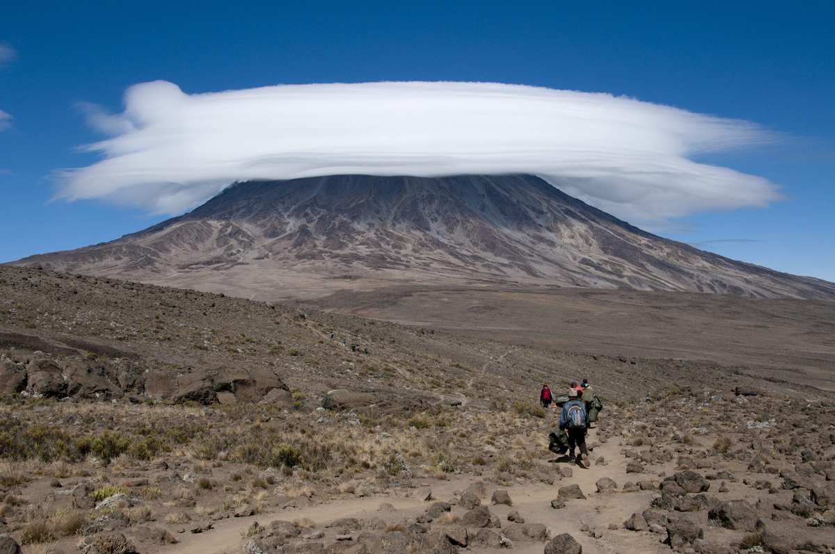 Bestig Kilimanjaro – Rongai ruten