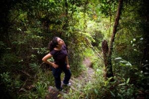 I dag skal vi på eventyr i Virachey National Park, som byder på både jungle og græslandskaber, og som er hjem for en bred vifte af sjældne og truede dyrearter. Hold øjnene åbne – her kan du spotte gibbonaber, aber, bukke, træleoparder, elefanter og fuglearter.  Vi mødes med en park-ranger, der tager os med på et trek, der både fører os op- og nedad, og samtidig giver os en masse fantastiske panorama udsigter undervejs.  Under trekket kommer vi gennem bambus skove samt almindelige skove med gigantiske træer. Efter de første 2 timers trekking, ankommer vi til en smukt vandfald, der måler ca. 40 meter i højden. Her gør vi stop og spiser frokost.  Vi fortsætter længere ind i skoven, hvor rangeren fortæller os om de forskellige plantearter – herunder dem man kan spise, anvende til medicin samt dem der er giftige.  Rundt 15:00 – 16:00 ankommer vi til Kachock stammens landsby. Her går vi en rundtur i landsbyen, inden vi hopper ombord på en båd, der tager os til Kachon-landsbyen. Herfra bliver vi kørt tilbage til Ban Lung. 