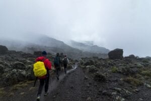 Mandara Hut – Horombo Hut Efter morgenmaden bevæger vi os ud af regnskoven og fortsætter i hedelandskab. Vi passerer Moundi-krateret, hvor du får mulighed for at vandre op og nyde en enestående udsigt udover Kibo-krateret.   Ude på heden vil du opleve eksotiske planter, såsom ”giant lobelia” og ”giant groundsel”.   Efter ca. 6 timers vandring når vi frem til Horombu Hut, som er placeret på et mindre plateau.   Også i dag forbereder vores kok og portører både drikkevand og vand til at vaske os i.   Der bliver serveret både snacks og god aftensmad.  I nat skal du være forberedt på, at det bliver koldt, da temperaturen falder til under frysepunktet. 