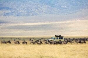 Ngorongoro-Safari-scaled