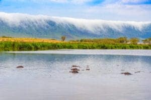 Efter en tidlig morgenmad i lodgen kører vi ca. 2 timer, til vi ankommer til Ngorongoro-krateret.  Ngorongoro-krateret er et oplagt sted at besøge. Krateret har massevis af græsstepper og skove fyldt med akacietræer.   Her vil du finde stort set alle dyrearter, som lever på savannen i Tanzania.  Det betyder, at du også får chancen for at opleve og observere Afrikas ”Big Five”, som er: elefanten, løven, bøflen, næsehornet og leoparden.  Derudover vil du kunne opleve hyænen og mere end 500 forskellige fuglearter.  Sidst på eftermiddagen kører vi mod Arusha eller lufthavnen, afhængigt af hvad den kommende dag indebærer. 