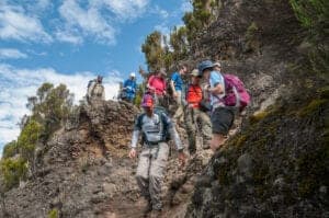 Efter en tidlig morgenmad på hotellet bliver du hentet og kørt til Nale Moru Gate.   Imens du registrerer dig i Tanzania National Park (TANAPA), arrangerer portørerne bagagen og det du skal have med.   Efter din registrering begynder eventyret!   Du starter med at vandre i et skovområde, hvor du kan forvente regn, mudder, tåge og dyre-liv. Bl.a. finder du her i regnskoven de finurlige og smukke colobusaber.  Når du er halvvejs igennem dagens vandring, vil der være et frokoststop. Herefter fortsætter vi mod Simba Camp, som vi kommer til sent på eftermiddagen eller tidligt på aftenen.   Portørerne og kokken går i forvejen og ankommer, inden du når frem. Her vil de have slået dit telt op for dig, kogt drikkevand og forberedt lidt snacks.  Efter vi har slappet lidt af og vasket os, bliver der serveret varm aftensmad.   Efter maden hopper vi ind i teltene og sover