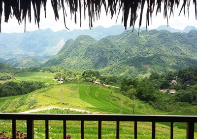 review-puluong-retreat-homestay-naturereserve-tripadvisors