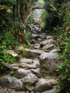 Efter morgenmaden starter dagens eventyr på Mount Kinabalu. Først kører vi til kontoret, hvor vi bliver registreret og møder vores bjergguide.  Vi starter trekket ved Timpohon Gate og vandrer stejlt opad, til vi ankommer til Laban Rata Resthouse, placeret 3.300 meter over havet. Her er du garanteret en fantastisk udsigt. 