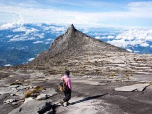 Ved daggry fortsætter vi vandringen – denne gang mod toppen af Mount Kinabalu. På toppen vil du opleve uforglemmelige udsigter ud over Borneohalvøen. Efter vi har taget nogle gode billeder, går vi tilbage til Laban Rata Resthouse, hvor vi spiser morgenmad. Herefter går vi tilbage til Timpohon Gate.   Ved hovedkvarteret får vi en god frokost, før vi bliver kørt til Sandakan, som er en traditionel fiskerlandsby og den andenstørste by i Kota Kinabalu.  Turen tager ca. 5 timer, så du har tid til at slappe af efter trekket og nyde udsigten til naturen omkring byen.   Når vi ankommer til Sandakan er resten af dagen til fri afbenyttelse, og du vælger derfor helt selv, om tiden skal bruges på afslapning på hotellet eller på en tur ud i den smukke natur, der omringer hotellet.   Morgendagen er til fordel for dyrene – denne gang er det orangutangerne og andre abearter, du støtter.