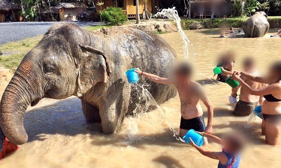 elefantbadning