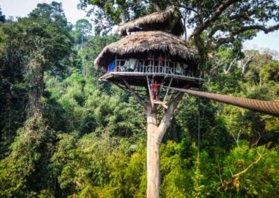 Gibbon Experience, Treehouse