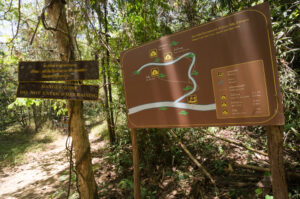 Khao Sok N.P.