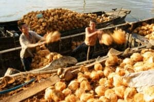 I dag kører vi i 2 timer for at komme til Ben Tre, som er vores indgang til Mekong deltaet. Her går vi ombord på en lille båd og sejler afsted ud i den mægtige Mekongflod.  I løbet af sejlturen besøger vi nogle lokale virksomheder, herunder en murstensfabrik og fabrik, der forarbejder kokosnødder. Herefter går vi i land og vandrer til en lokal landsby, hvor vi ser, hvordan de væver måtter. Så hopper vi på den lokale afart af en tuk-tuk og fortsætter dagens tur via landevejen mod molen.  Ved molen går vi ombord på den smukke teaktræsbåd Le Jarai og fortsætter vores sejltur på Mekongfloden. På båden får du tilberedt en menu bestående af tre lækre Mekongspecialiteter. Når du har spist frokost, står den på afslapning på dækket, mens vi sejler tilbage til Ben Tre, hvorfra du bliver kørt tilbage til Ho Chi Minh, hvor du ankommer sen eftermiddag.