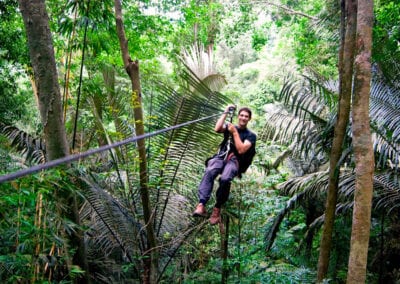 Gibbon Experience, Treehouse