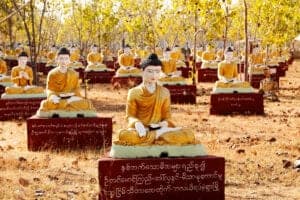 I dag skal vi ud på en 4-timers køretur til Monywa. På vejen stopper vi ved Sagaing, som er en tidligere hovedstad. Rundt omkring byen på bakkerne ligger mange smukke stupaer og klostre, hvoraf det største kloster har en fantastisk udsigt ud over Irrawaddy River. Herfra fortsætter vi til Monywa og Thanboddhay Pagoda, som er smukket med tusindvis af buddhistiske motiver både ind- og udvendigt. Herfra tager vi videre til den unikke pagoda, Bodditatuang, hvor hundredvis af Buddhastatuer sidder i skygge under Banyan-træerne, der gror tæt ved. Ud på eftermiddagen ser vi lokale håndværkere væve bommuldstæpper, inden vi går op og ser solen gå ned fra én af pagoaderne. 