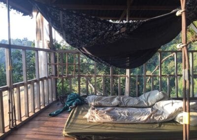 Gibbon Experience, Treehouse