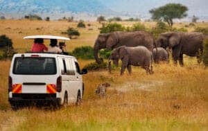 Efter morgenmaden sætter vi kursen mod Afrikas vildeste dyrelivs reservat, Masai Mara.  Vi ankommer til Entim Mara Campen, hvor vi nyder en frokost.   Allerede ud på eftermiddagen, tager vi på vores første game drive i Masai Mara.   Om Masai Mara  Når det kommer til game drives, er der ingen områder i Afrika, der byder på lige så meget dyreliv og -aktivitet som Masai Mara.  Da Masai Mara huser gnuer, gazeller, zebraer og antiloper, siger det sig selv, at det er et oplagt sted at jage. Ikke for mennesker,  men for løven, leoparden og geparden.   I Masai Mara, kan du derfor allerede fra morgenen opleve Afrikas ”Big 5” som består af: løven, leoparden, næsehornet, elefanten og bøflen.   Man ved aldrig, hvad der gemmer sig i det knæhøje græs!