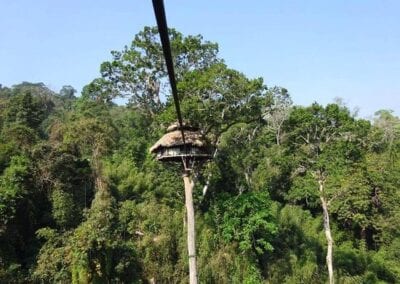 Gibbon Experience, Treehouse