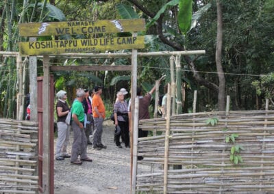 Koshi Tappu Wildlife Camp