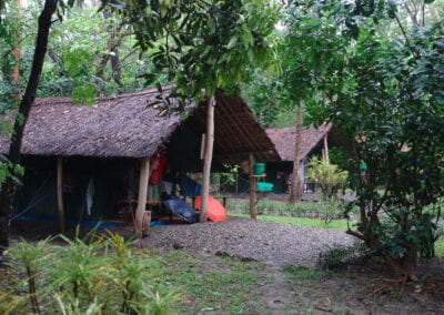 Koshi Tappu Wildlife Camp