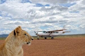 Safarirejsen er ved at nå til vejs ende. Idag spiser vi morgenmad på lodgen, hvorefter vi sætter kurs mod Kilimanjaro eller Arusha lufthavn. Der er forskellige måder at komme sig til lufthavnen på. Du kan tilkøbe et indenrigs fly, der flyver fra Manyara Airstrip til Kilimanjaro, eller du kan blive kørt.   Kørsel tager ca. 2 timer og 15 minutter til Arusha lufthavn og 3,5 time til Kilimanjaro lufthavn.   (Land)transfer er inkluderet i rejsens pris. Ønsker du at flyve, bedes du meddele Ferie med Formål. Så undersøger vi prisen for den valgte dato.  Ønsker du at forlænge rejsen med et par dage på Zanzibar eller lignende, er det muligt at tilkøbe. 
