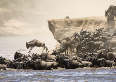 Kultur, luksus og safari i Tanzania