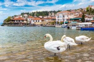 Denne dag er på egen hånd i Ohrid – og der er rigeligt at give sig til. Hvad end du ønsker at solbade ved søen, gå rundt i Ohrid og tage fantastiske billeder af de imponerende bygninger med den fantastiske sø i baggrunden eller deltage på en sightseeing tur, er helt op til dig. Uanset hvad, vil du uden tvivl få en masse fantastiske oplevelser og ikke mindst en masse uforglemmelige billeder. Vi overnatter på hotel Mizo. 