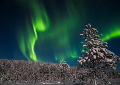Finland: På jagt efter nordlys