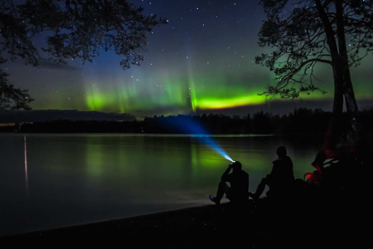 eSled Rovaniemi, Finland: Oplev Rovaniemi på eSled