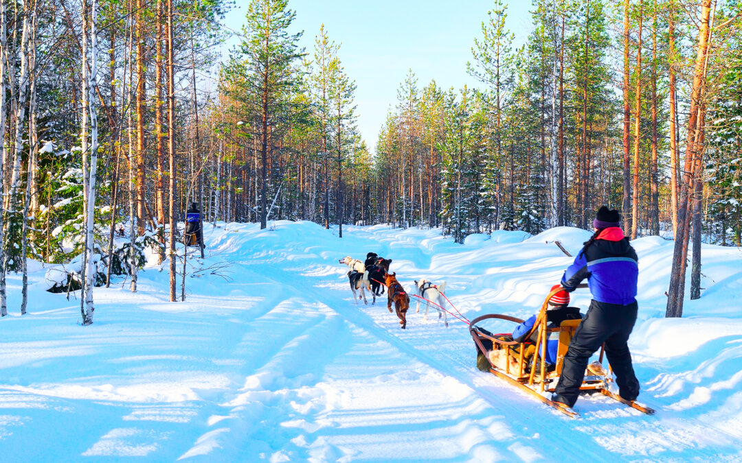 Tilbud til Mia – Hundeslæde safari i Finland