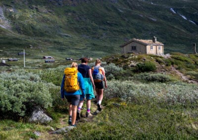 Vandre i Norge: Jotunheimen – den grønne rute