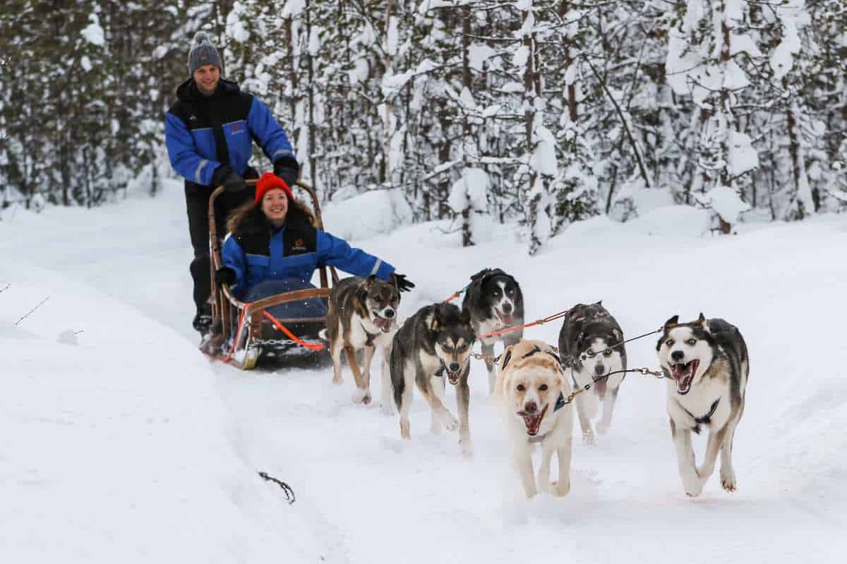Rejse til Lapland, Sammensæt din egen rejse til Lapland