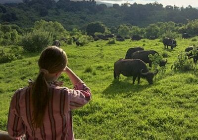 Ngorongoro Rhino Lodge