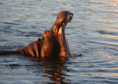Lake Baringo