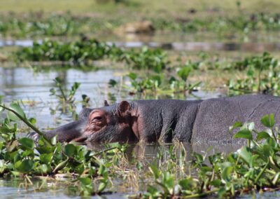 Lake Baringo