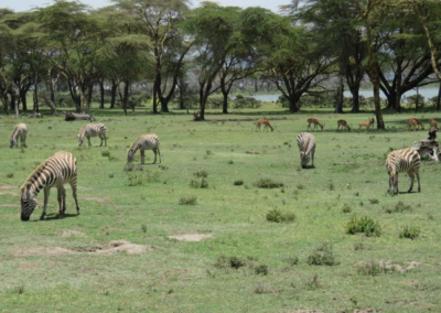 Lake Naivasha