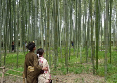 Japansk par i bambusskoven eget billede