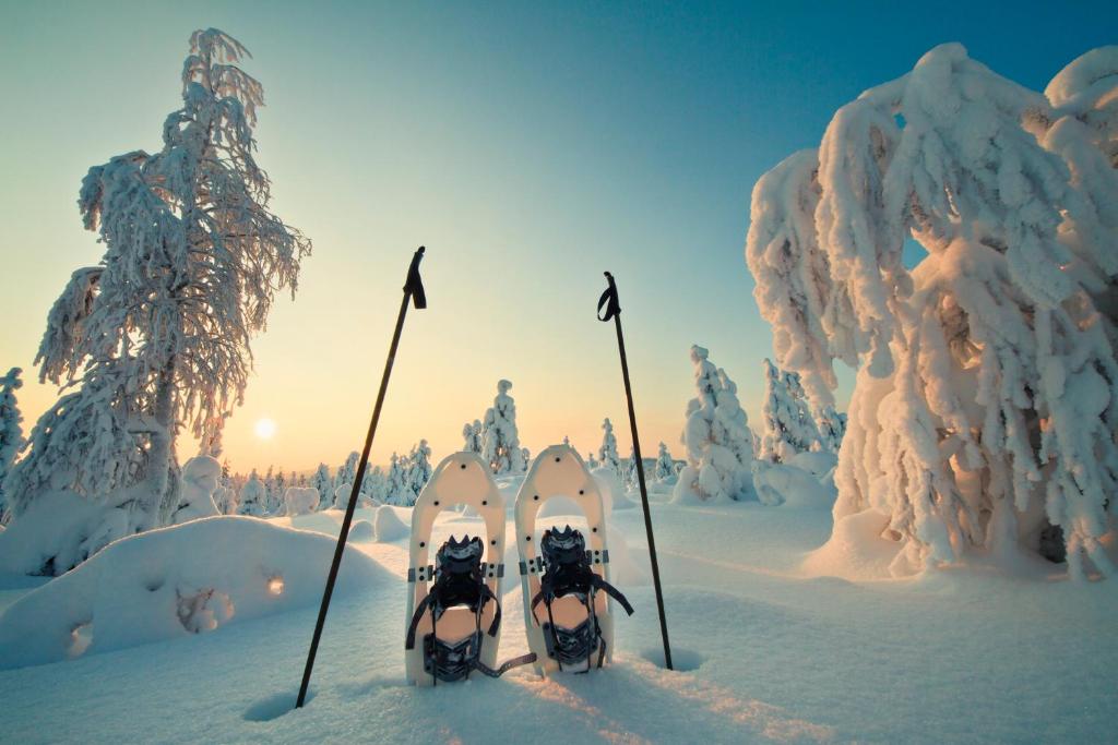 eSled Rovaniemi, Finland: Oplev Rovaniemi på eSled