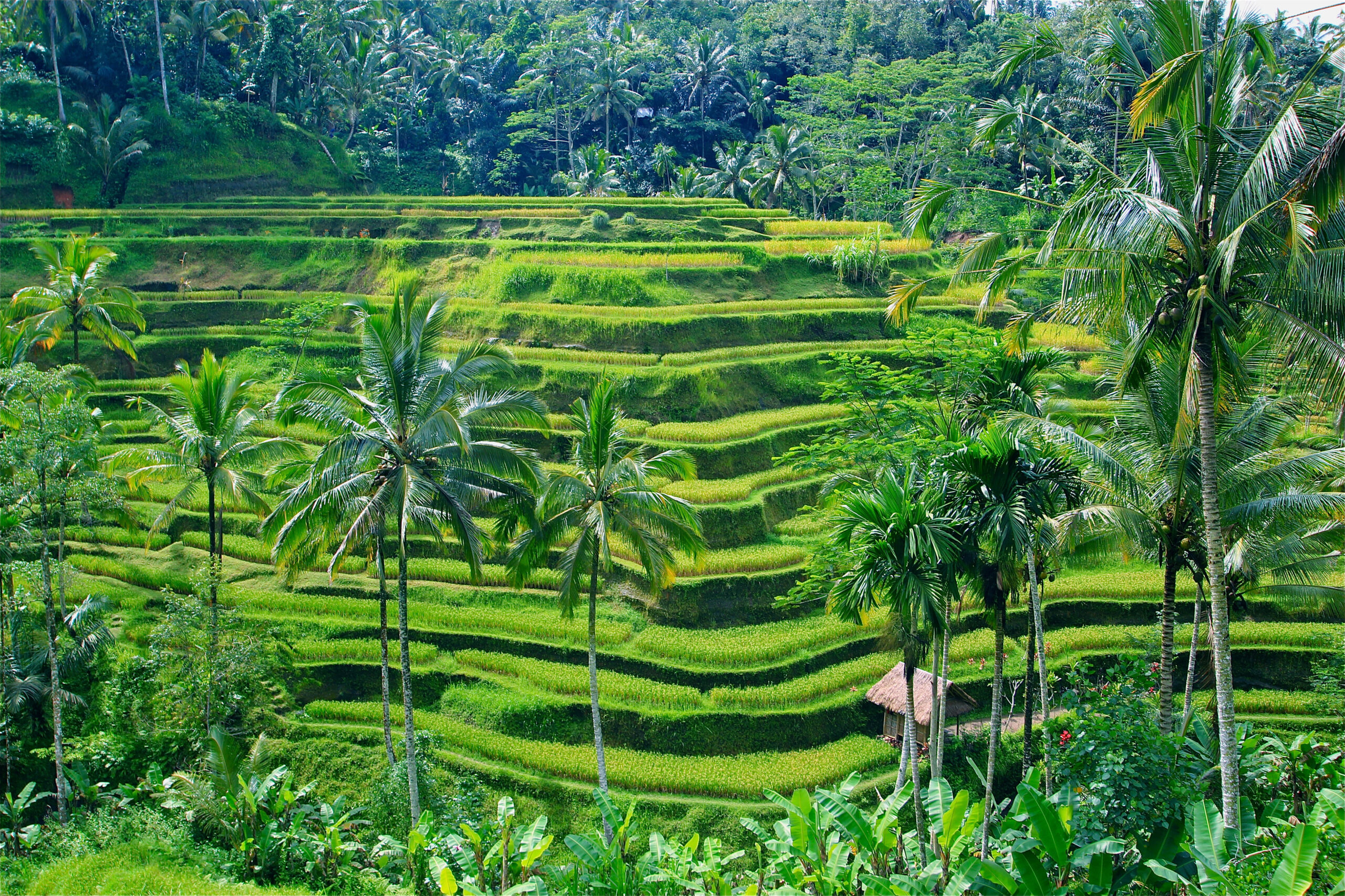 Indonesien seværdigheder