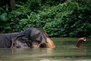 morning program 3