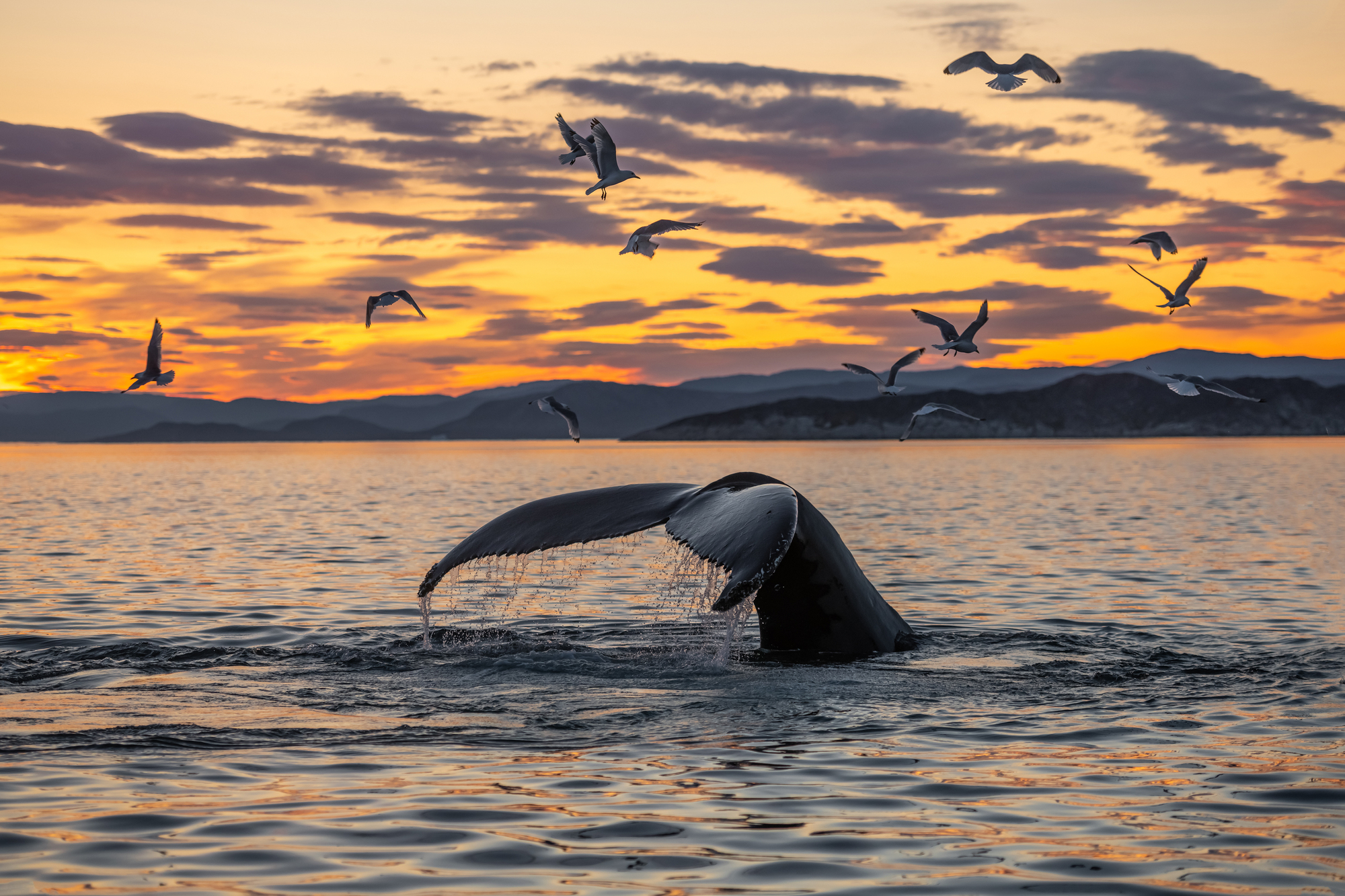 Depositphotos 360289046 L
