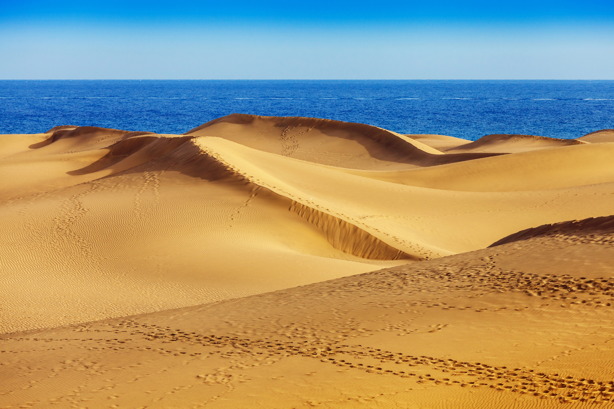 Rejser til Gran Canaria