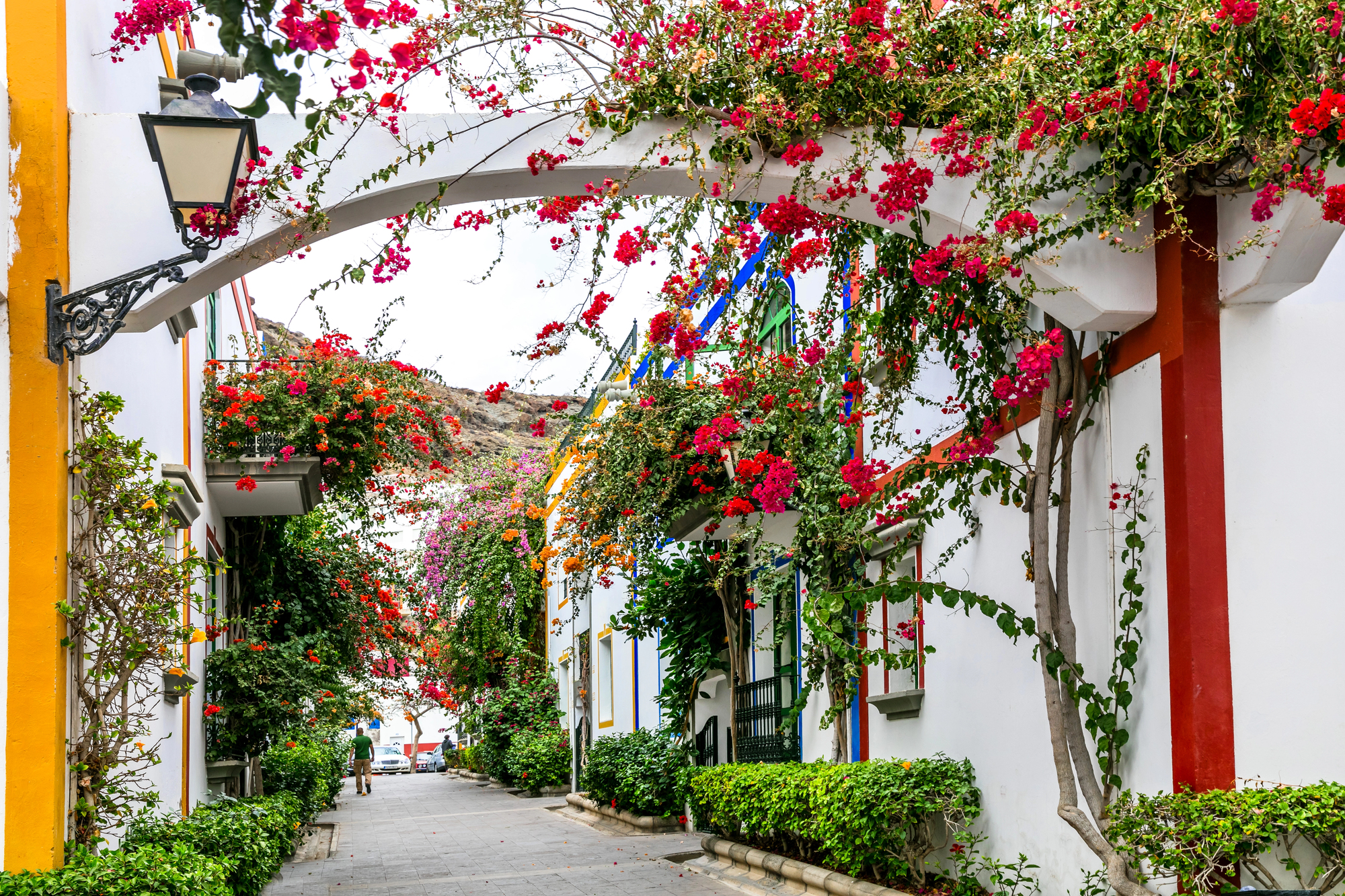 Puerto Mogan