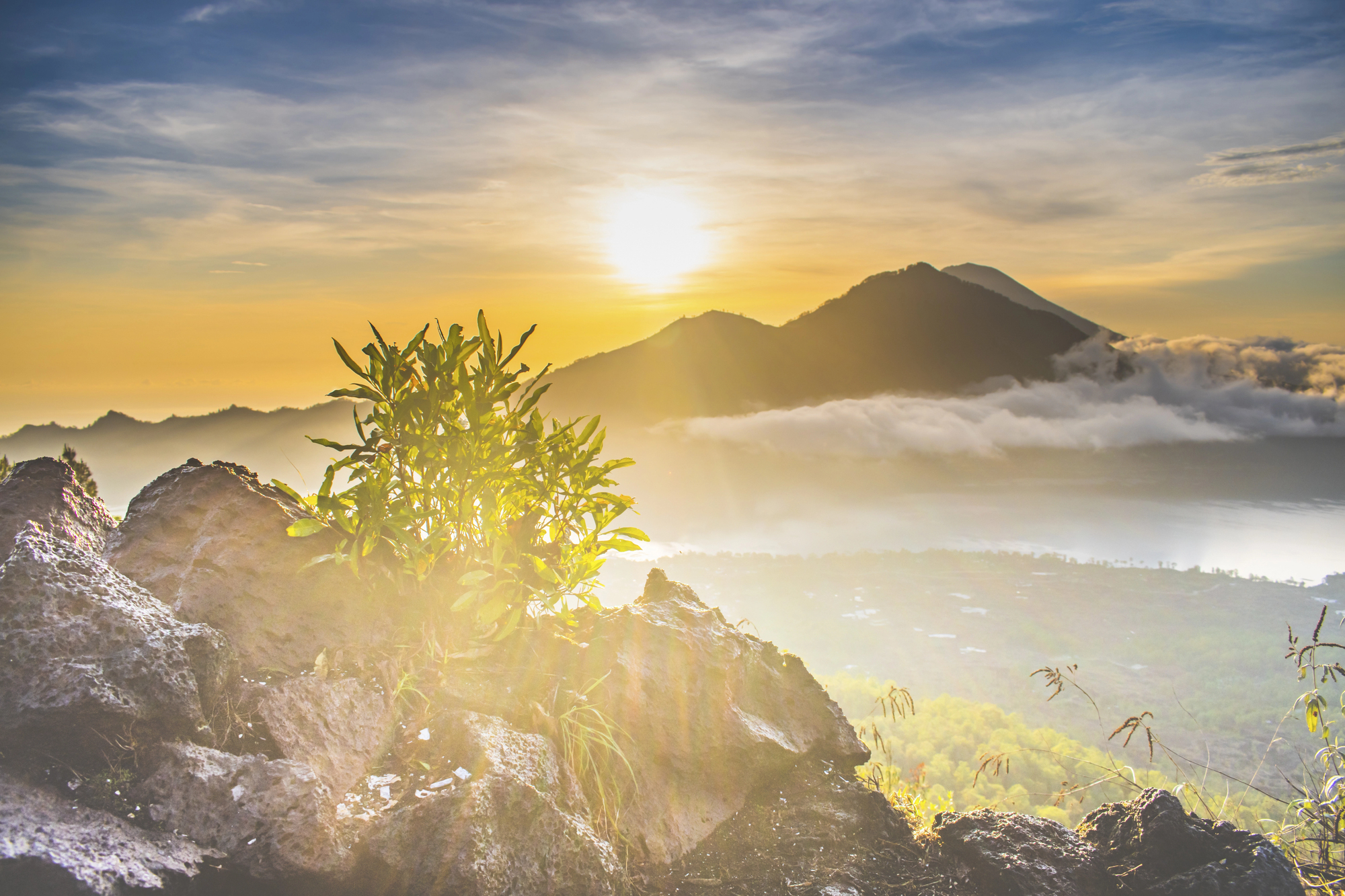 Depositphotos 396694910 L